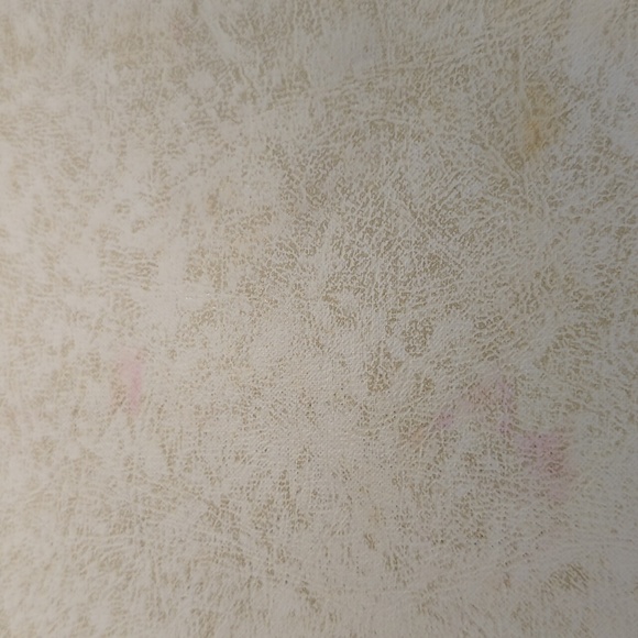 Large Vintage Holy Bible - Picture 11 of 16